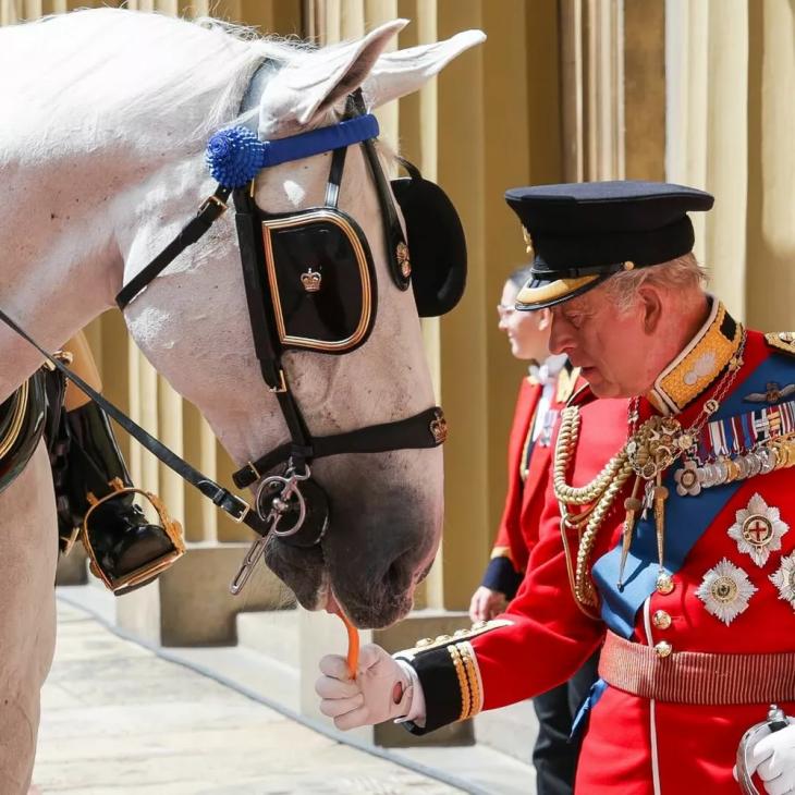 
                Король Карл III, королева Камилла и Кейт Миддлтон: яркие моменты парада Trooping the Colour            
