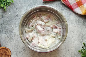 Шашлык на шпажках