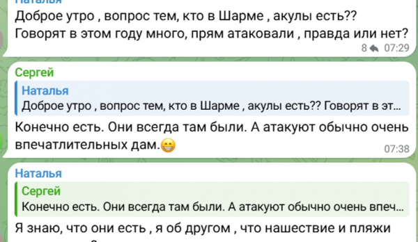 Туристов напугали новостями о «массовом отлове акул» в Египте Туристов напугали новостями о «массовом отлове акул» в Египте