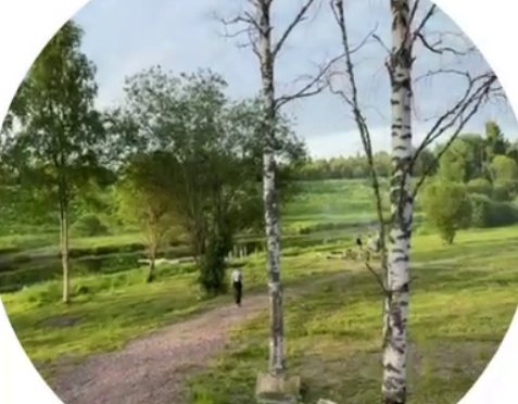 Елена Тепловодская отдыхает в Карелии