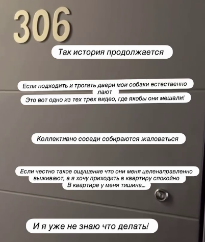 Настя Стецевьят боится оказаться на улице из-за своих собак