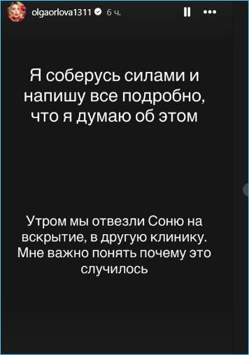 Ольга Орлова винит себя, что не уберегла кошку Соню Ольга Орлова винит себя, что не уберегла кошку Соню