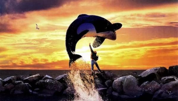 Warner Bros. снимет ремейк фильма "Освободите Вилли" Warner Bros. снимет ремейк фильма "Освободите Вилли"