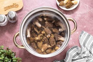 Сморчки на зиму Сморчки на зиму