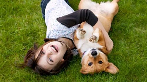 Дети и домашние животные Дети и домашние животные