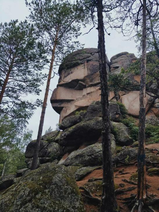 Что посмотреть и попробовать в Красноярске
Что посмотреть и попробовать в Красноярске