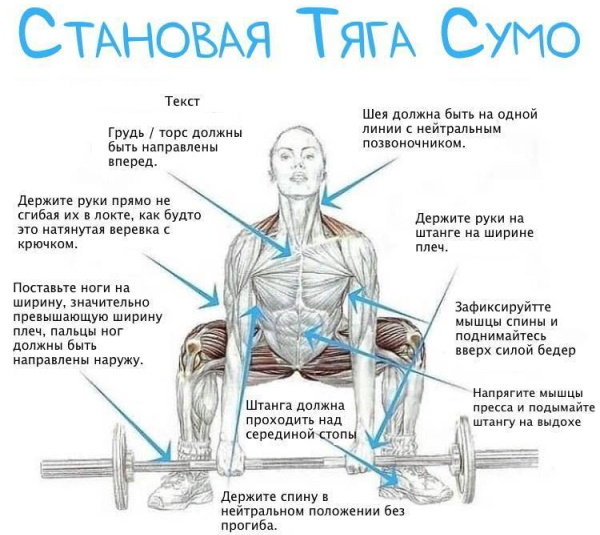 Становая тяга сумо. Техника, какие мышцы работают Становая тяга сумо. Техника, какие мышцы работают