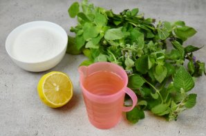 Концентрированный сироп из мяты Концентрированный сироп из мяты