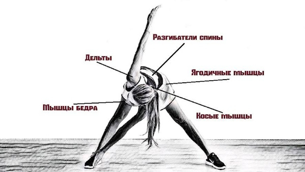 Упражнение Мельница. Описание, польза
