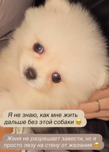 Последние новости Дом 2 на сегодня 19.09.26 &ndash; Виктория Салибекова обустраивает на Поляне уголок для дочки
