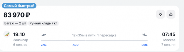 Туристы с отмененного рейса Air Tanzania выбираются с Занзибара домой