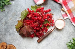 Желе из калины Желе из калины