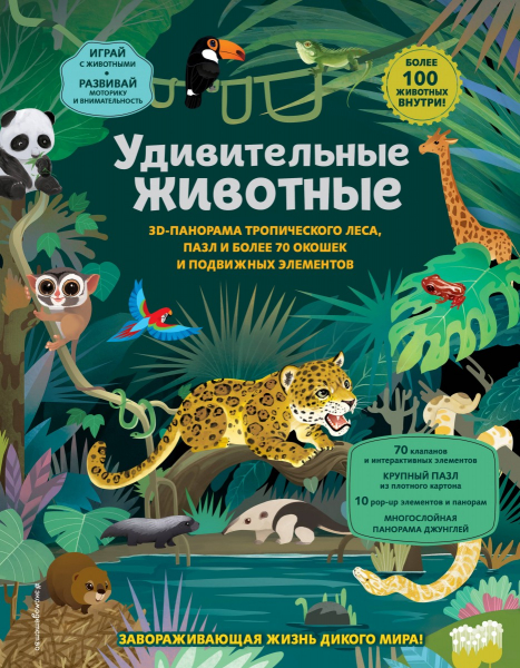 Путешествуем вместе: познавательные книги для детей Путешествуем вместе: познавательные книги для детей