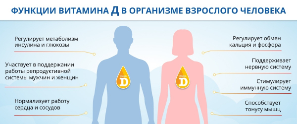 12 продуктов с высоким содержанием витамина D 12 продуктов с высоким содержанием витамина D