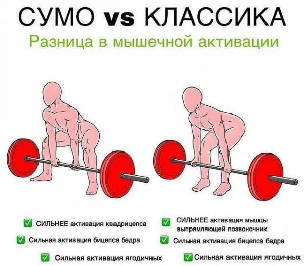 Становая тяга сумо. Техника, какие мышцы работают Становая тяга сумо. Техника, какие мышцы работают