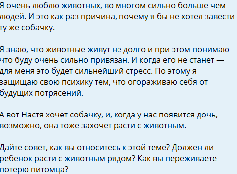 Евгений Ромашов объяснил, почему не хочет заводить питомца