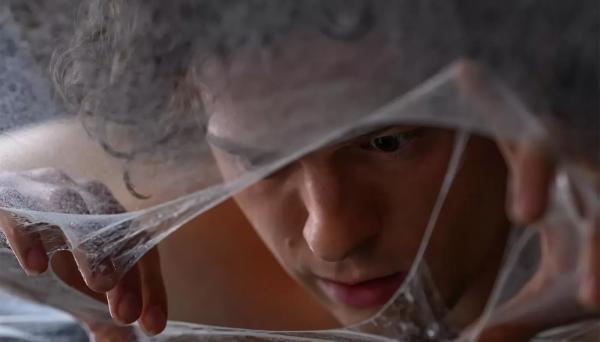 Sony и Человек-паук Том Холланд готовят триллер "Пентхаус" Sony и Человек-паук Том Холланд готовят триллер "Пентхаус"