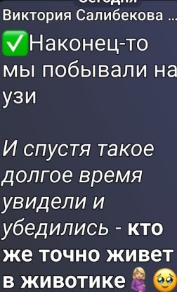 Салибековы всё ещё сомневаются, что у них будет дочь