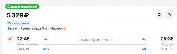 Туристы могут улететь в Турцию за 5–6 тысяч рублей Туристы могут улететь в Турцию за 5–6 тысяч рублей